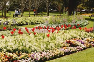 A Carnival of Flowers